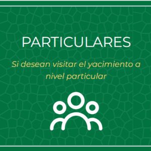Entrada particular